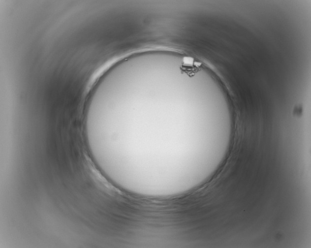 X0000113071460200909182013