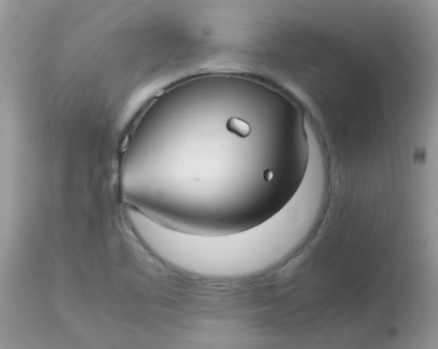 X0000113071461200909182013