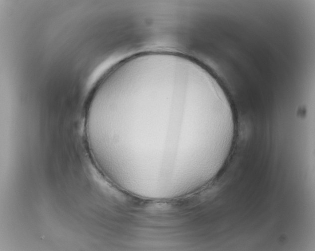 X0000113071462200909182013