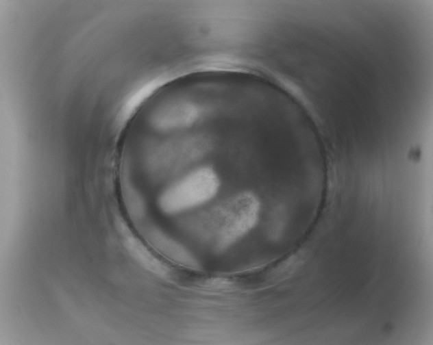 X0000113071463200909182013