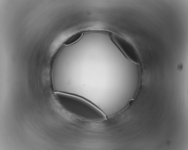 X0000113071464200909182013