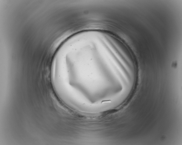 X0000113071465200909182013