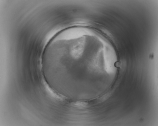 X0000113071466200909182013