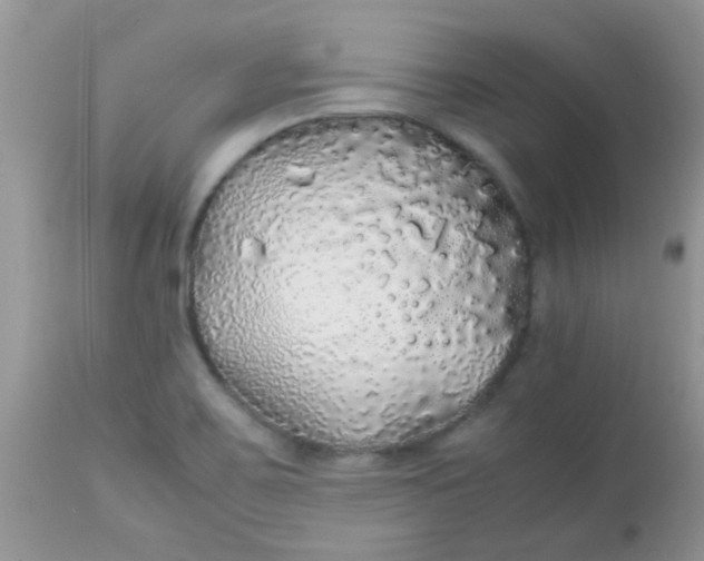 X0000113071467200909182013