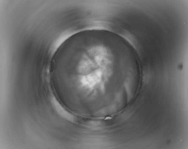 X0000113071468200909182013