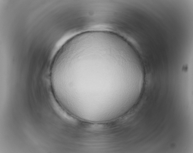 X0000113071470200909182013