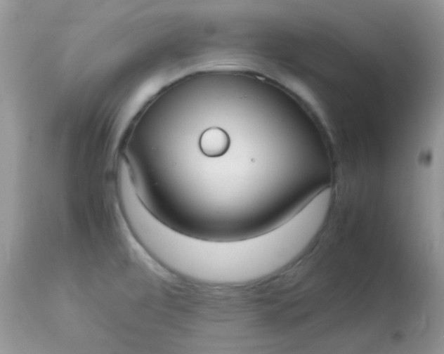 X0000113071472200909182013