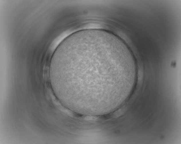 X0000113071473200909182013