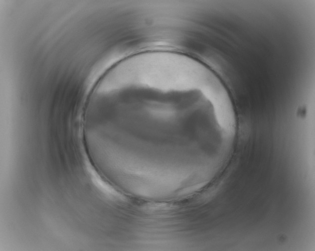 X0000113071474200909182013