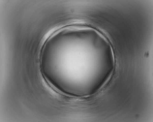 X0000113071475200909182013