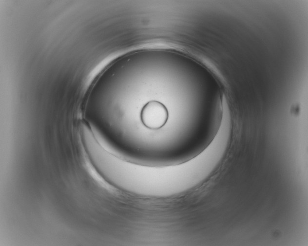 X0000113071476200909182013