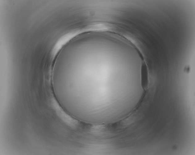 X0000113071477200909182013