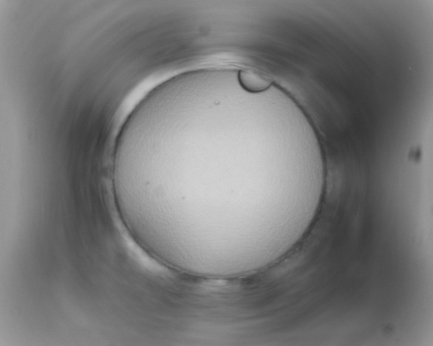 X0000113071478200909182013