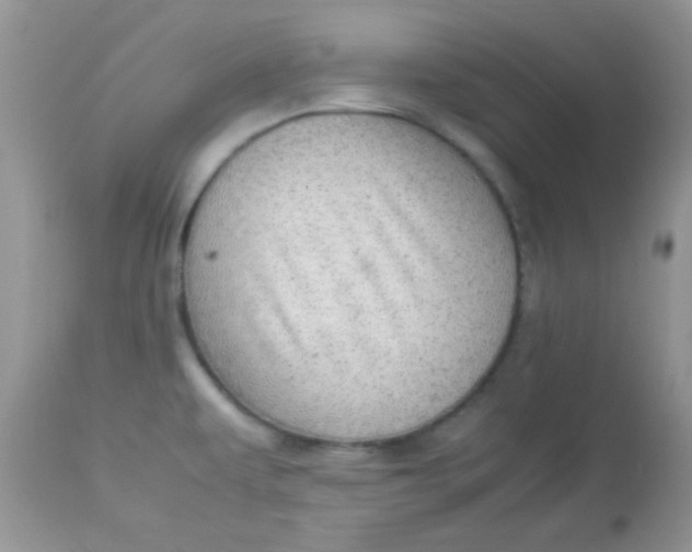 X0000113071479200909182013