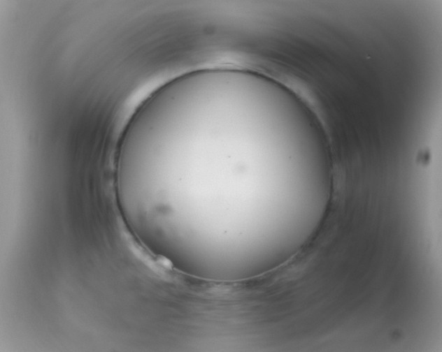 X0000113071480200909182013