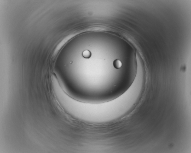 X0000113071481200909182013