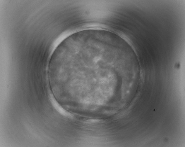 X0000113071482200909182013