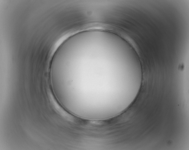 X0000113071483200909182013