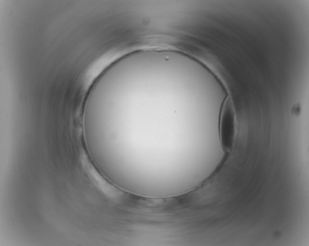 X0000113071485200909182013