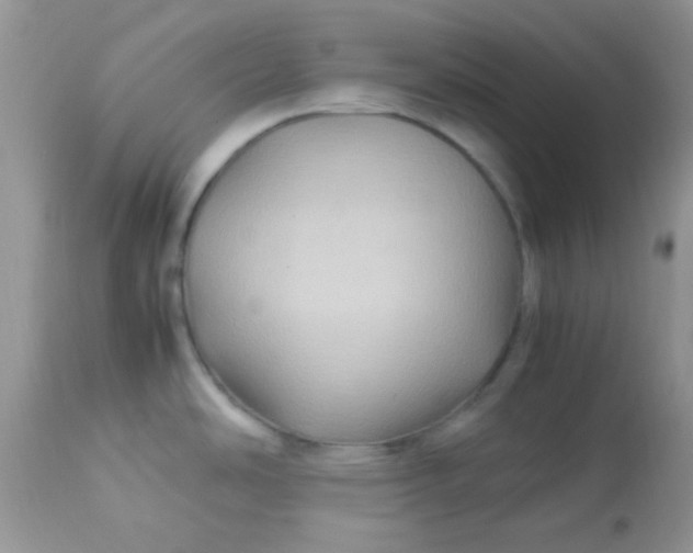 X0000113071486200909182013