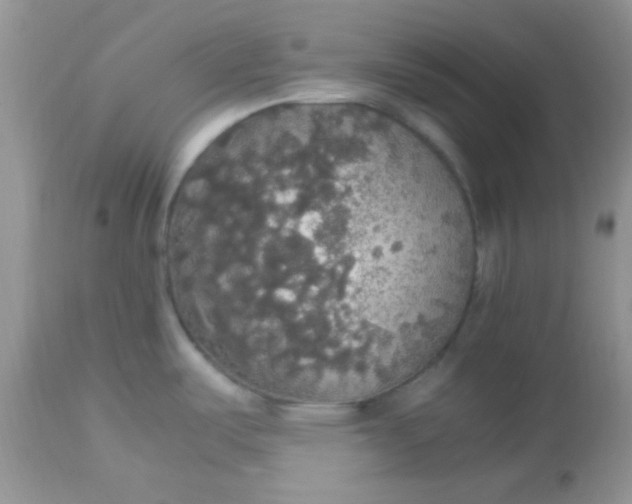 X0000113071487200909182013