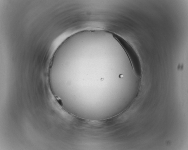 X0000113071488200909182013