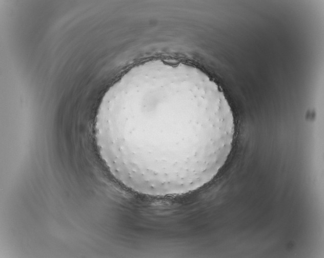 X0000113071489200909182012