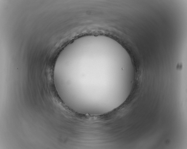 X0000113071490200909182012