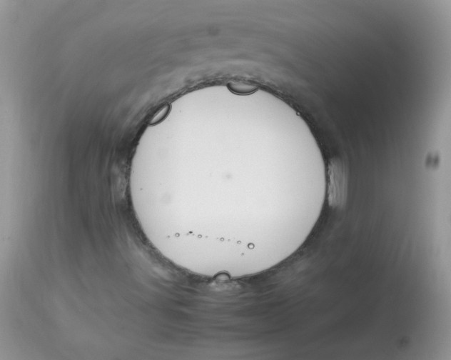 X0000113071491200909182012