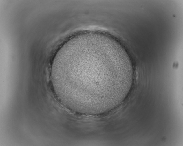 X0000113071493200909182012