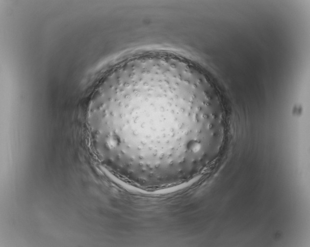 X0000113071494200909182012