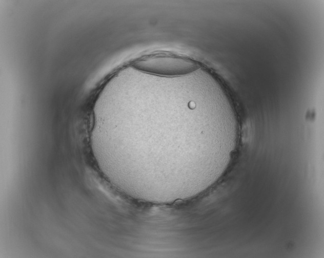 X0000113071496200909182012