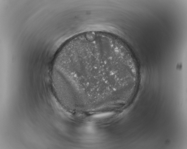 X0000113071497200909182012