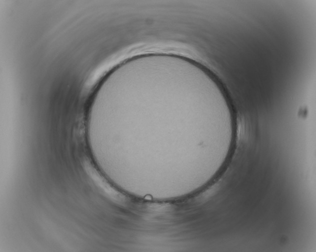 X0000113071498200909182012