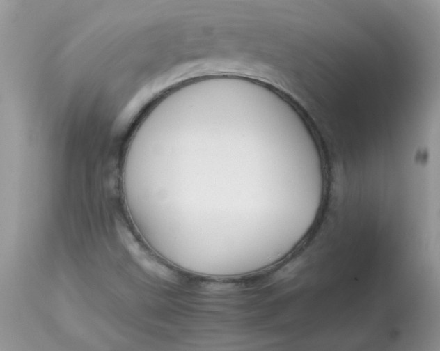 X0000113071499200909182012