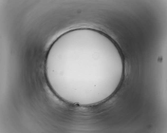 X0000113071500200909182012