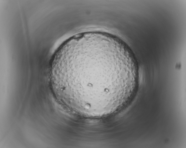 X0000113071501200909182012