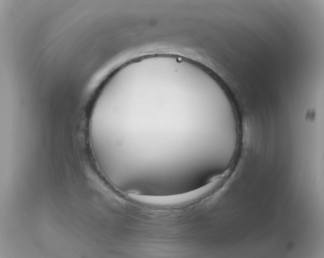 X0000113071502200909182012