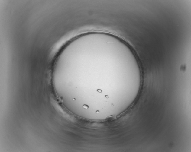 X0000113071503200909182012