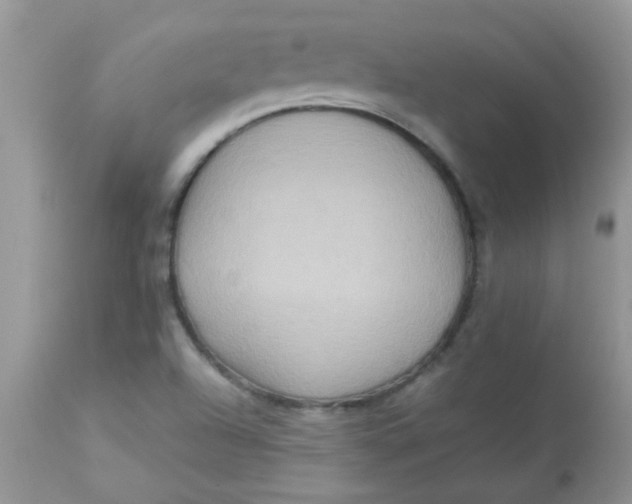 X0000113071504200909182012