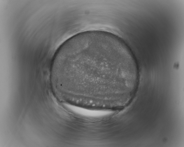 X0000113071505200909182012