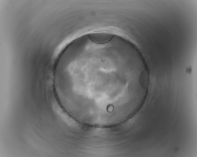 X0000113071506200909182012