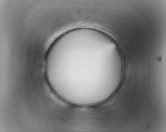 X0000113071507200909182012