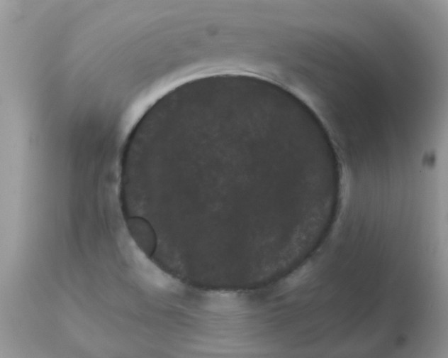 X0000113071508200909182012