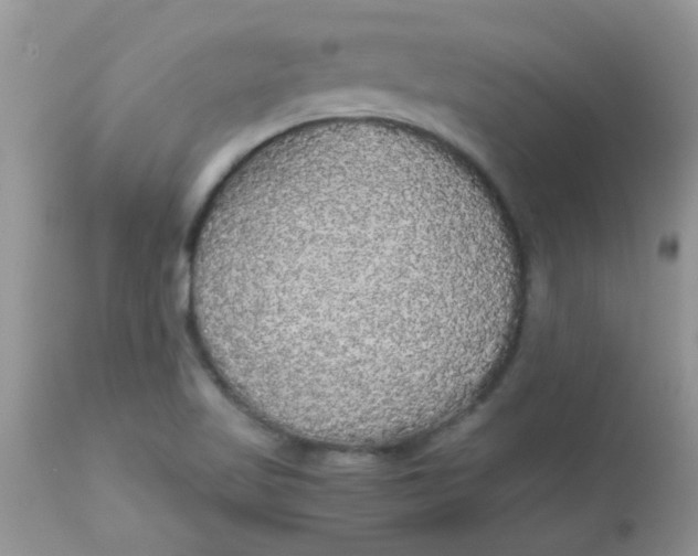 X0000113071509200909182012