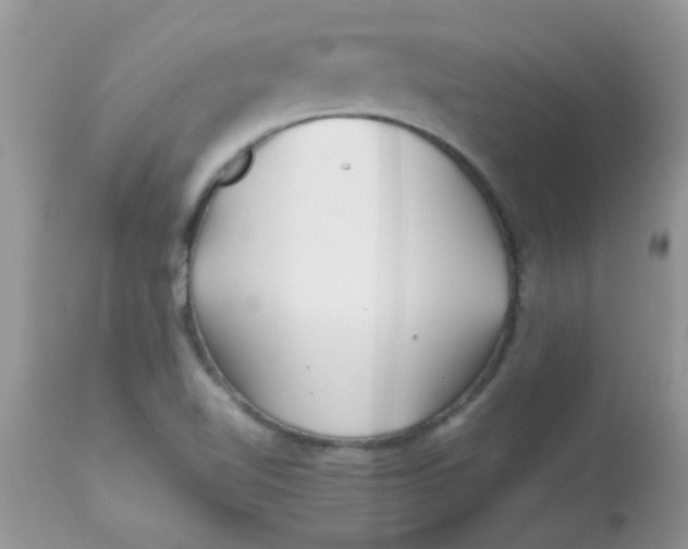 X0000113071510200909182012