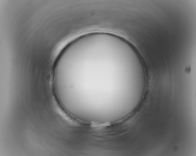 X0000113071511200909182012