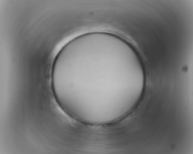 X0000113071512200909182012