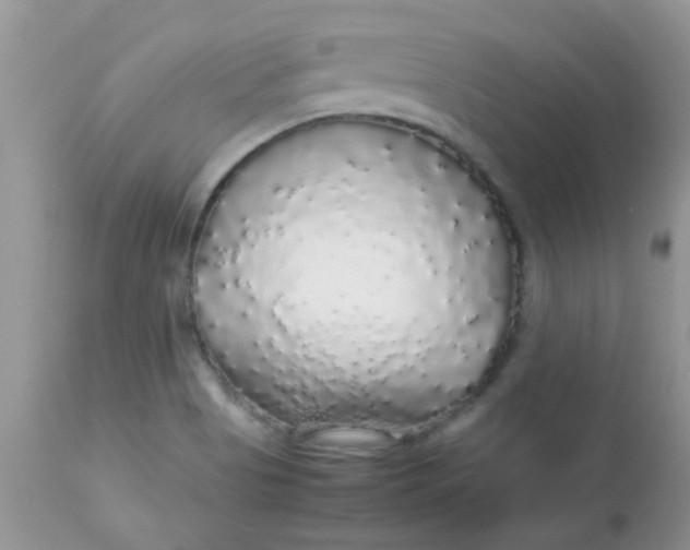 X0000113071513200909182012