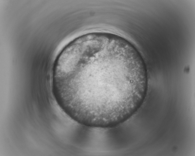 X0000113071514200909182012